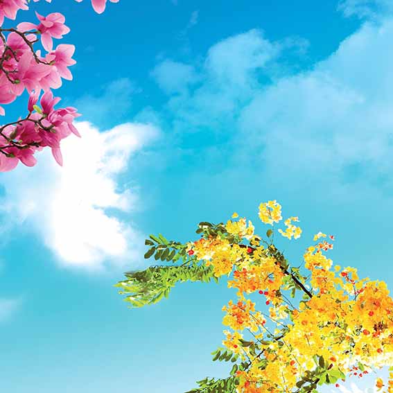 آسمان طرح طبیعت